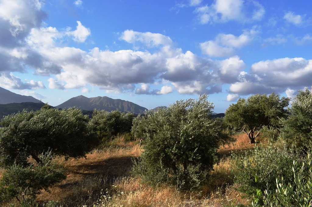 Οικόπεδο 43.000 τ.μ. πρός πώληση, Ν. Ρεθύμνου, Ζωνιανά