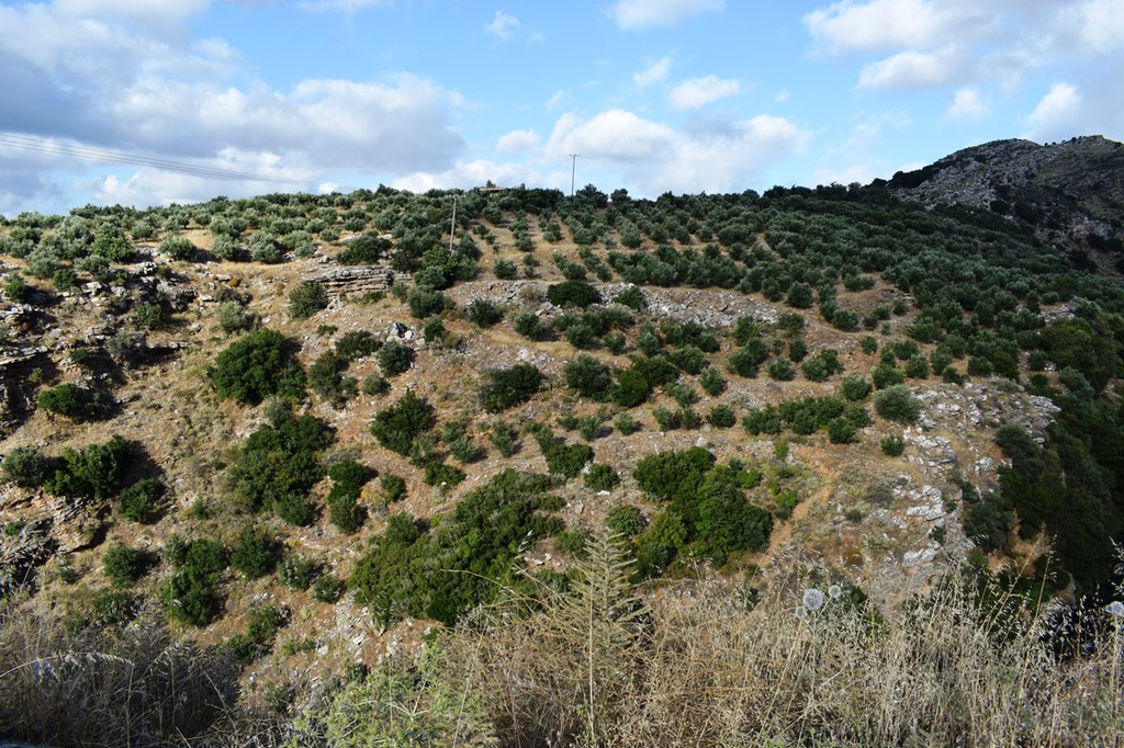 Οικόπεδο 43.000 τ.μ. πρός πώληση, Ν. Ρεθύμνου, Ζωνιανά