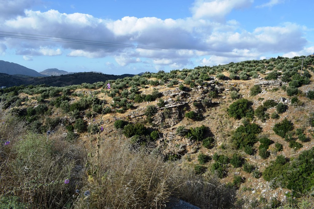 Οικόπεδο 43.000 τ.μ. πρός πώληση, Ν. Ρεθύμνου, Ζωνιανά