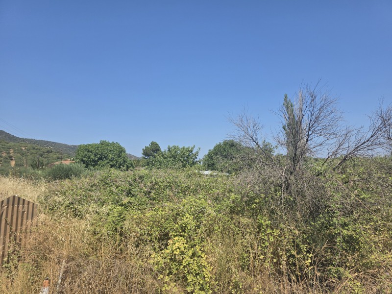 Αγροτεμάχια 638 τ.μ. προς πώληση, Συκιά Τορώνης