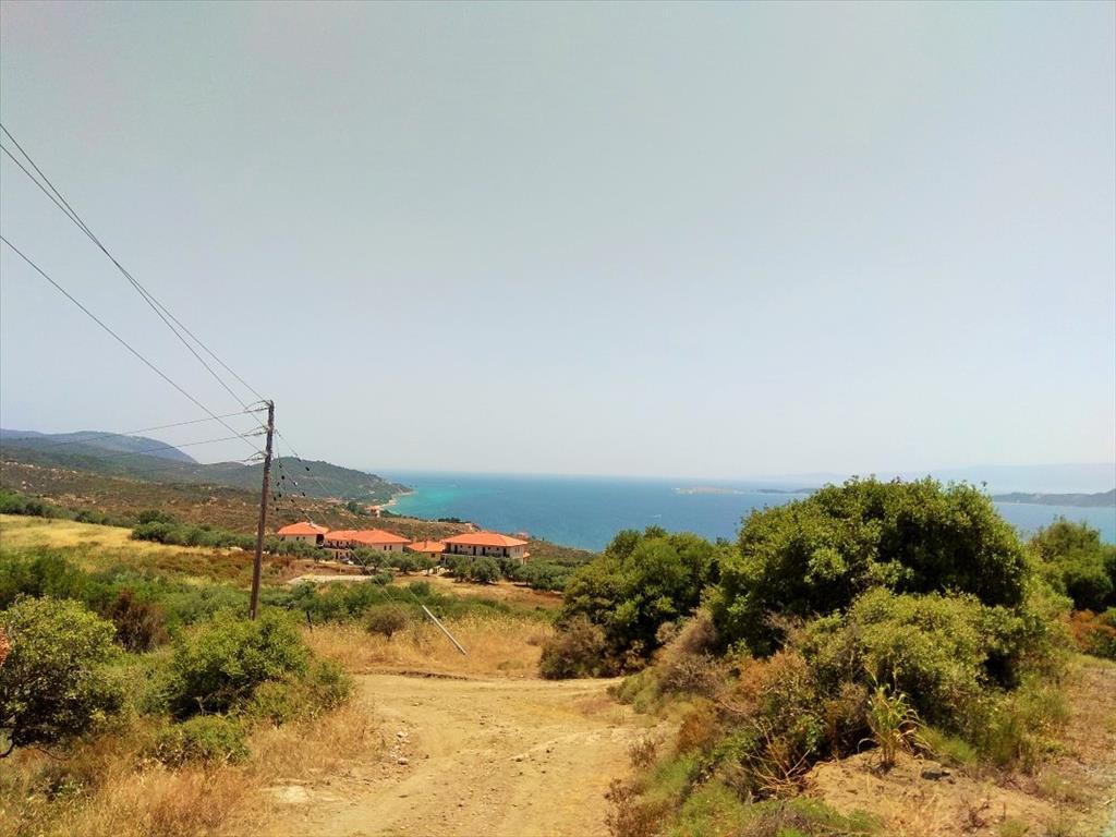 Οικόπεδο 10.750 τ.μ. προς πώληση, Σκάλα Χαλκιδικής
