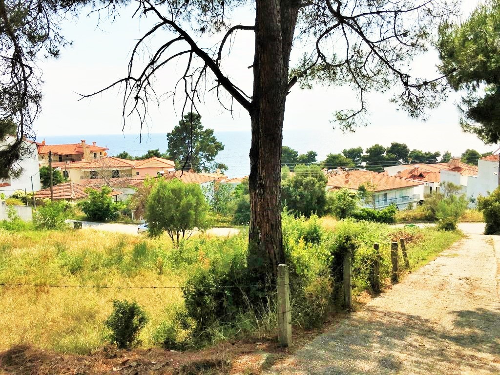 Οικόπεδο 1.330 τ.μ. προς πώληση, Λουτρά Παλλήνης