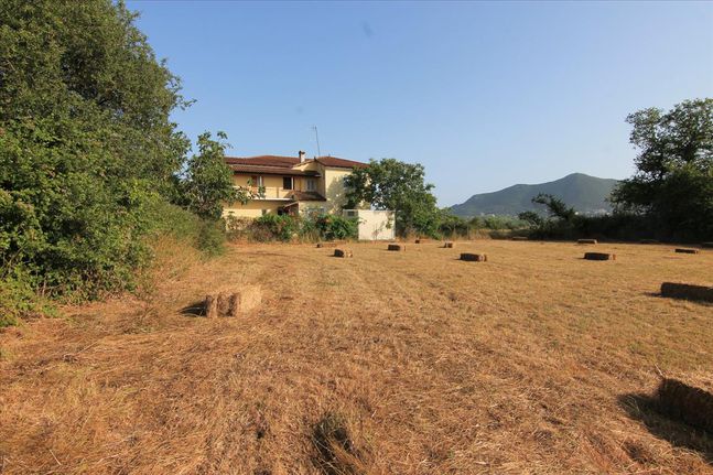 Οικόπεδο 15.000 τ.μ. για πώληση, Ν. Κέρκυρας, Κέρκυρα