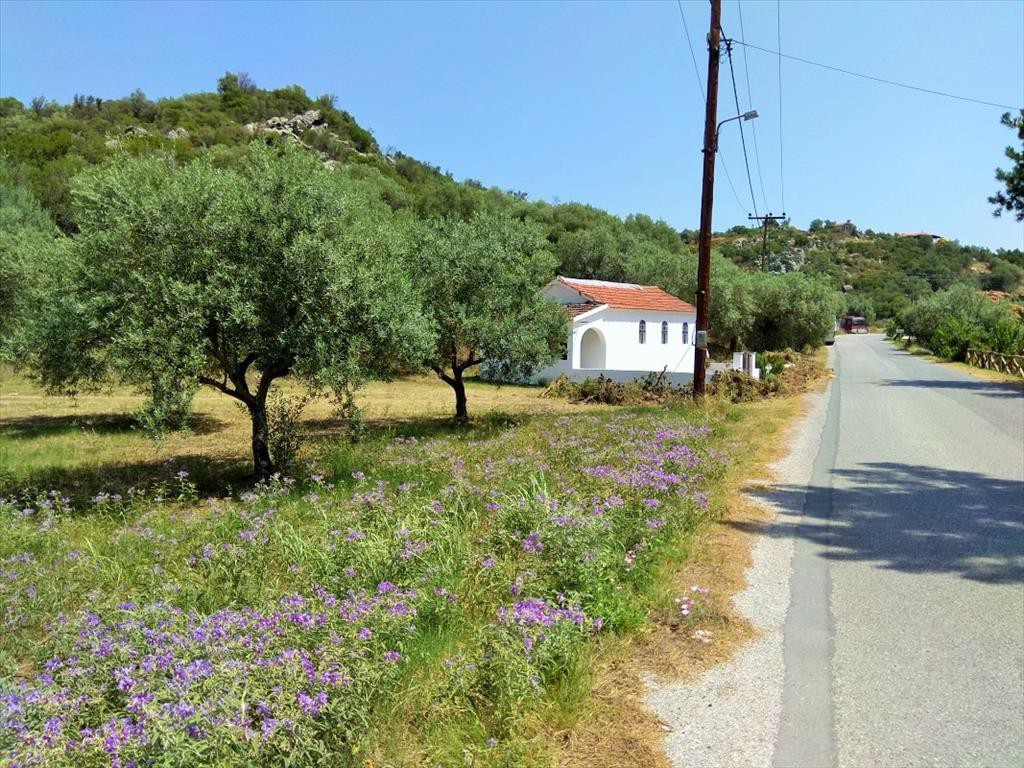 Οικόπεδο 2.920 τ.μ. προς πώληση, Πυργαδίκια