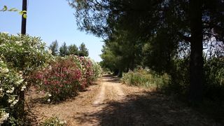 Ξενοδοχείο 0 τ.μ. για πώληση, Ζάκυνθος, Αρκάδι-thumb-12