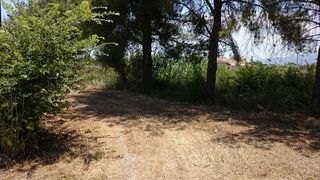 Ξενοδοχείο 0 τ.μ. για πώληση, Ζάκυνθος, Αρκάδι-thumb-11