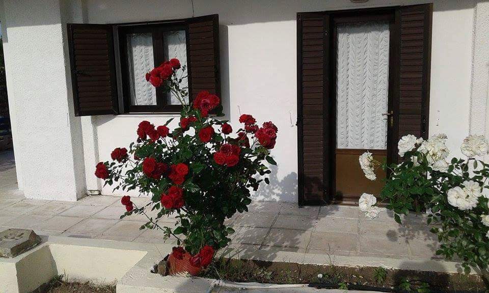 Ξενοδοχείο 390 τ.μ. προς πώληση, Όρμος Παναγίας