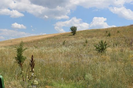 Οικόπεδο 2.400τ.μ. για πώληση-Θέρμη » Αγία παρασκευή