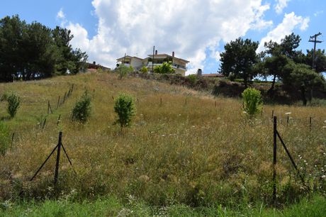 Οικόπεδο 502τ.μ. για πώληση-Θέρμη » Αγία παρασκευή