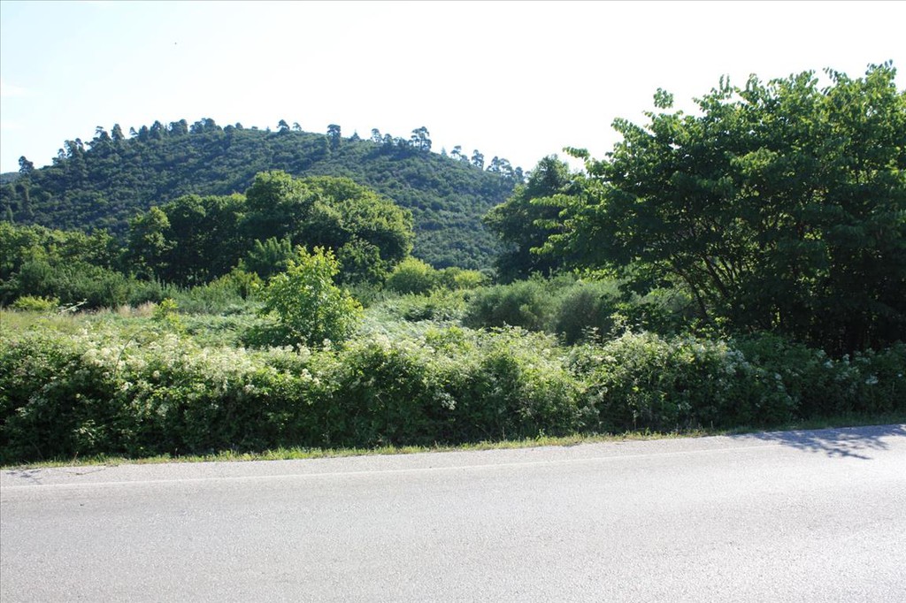 Οικόπεδο 3.000 τ.μ. προς πώληση, Τριπόταμος Σιθωνίας