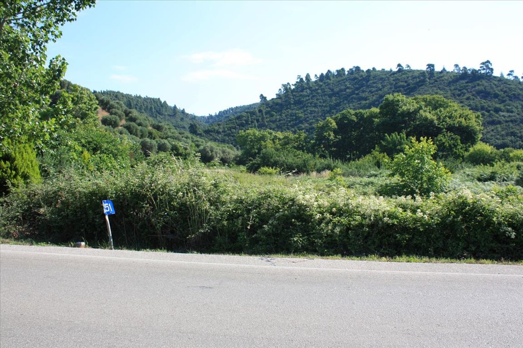 Οικόπεδο 3.000 τ.μ. προς πώληση, Τριπόταμος Σιθωνίας