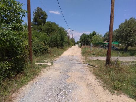 Οικόπεδο 1.354τ.μ. για πώληση-Σταγείρων - ακάνθου » Ολυμπιάδα