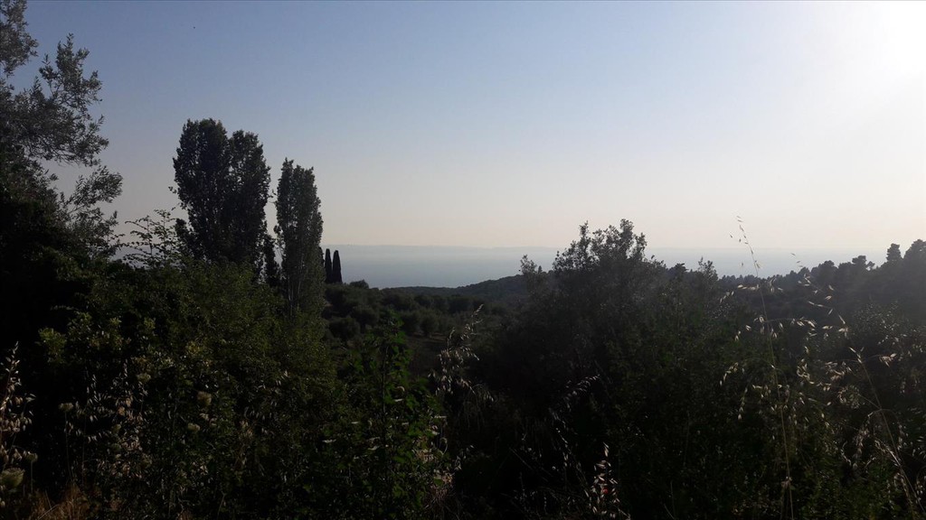 Οικόπεδο 1.417 τ.μ. προς πώληση, Παρθενώνας