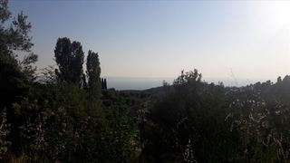 Οικόπεδο 1.417 τ.μ. προς πώληση
