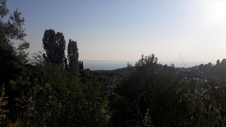 Οικόπεδο 1.417 τ.μ. για πώληση, Χαλκιδική, Σιθωνία