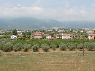 Οικόπεδο 2.000 τ.μ. για πώληση