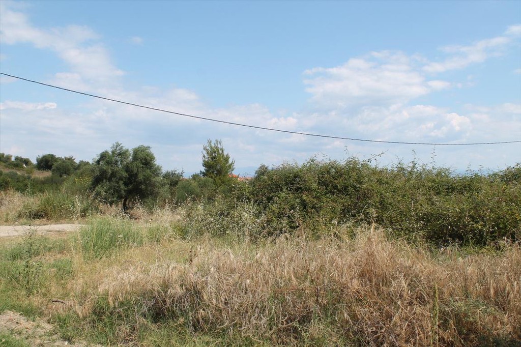 Οικόπεδο 450 τ.μ. προς πώληση, Πολύχρονο