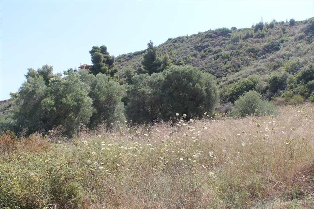 Οικόπεδο 450 τ.μ. προς πώληση, Πολύχρονο