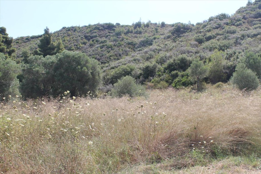 Οικόπεδο 450 τ.μ. προς πώληση, Πολύχρονο