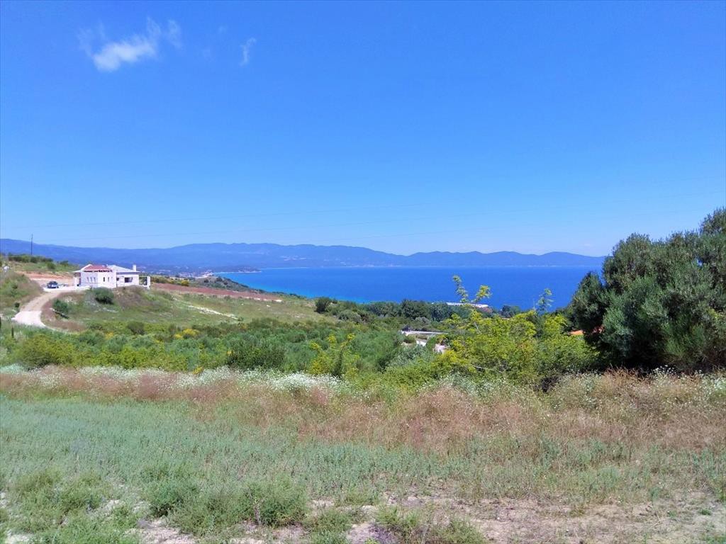 Οικόπεδο 11.000 τ.μ. προς πώληση, Λιμάνι Σταγείρων - Ακάνθου