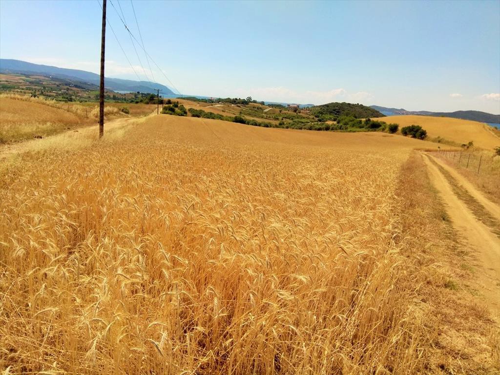 Οικόπεδο 9.000 τ.μ. προς πώληση, Λιμάνι Σταγείρων - Ακάνθου