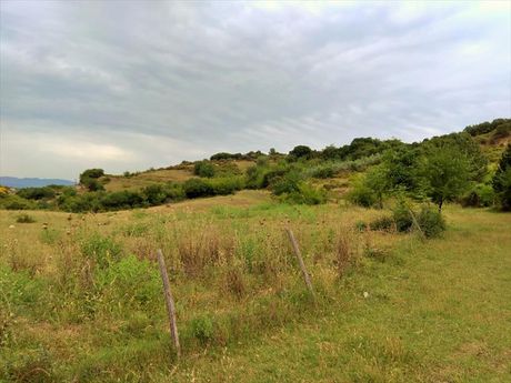 Land plot 4.750sqm for sale-Stagiron - Akanthou » Ierissos