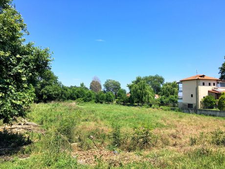 Land plot 3.000sqm for sale-Stagiron - Akanthou » Krioneri