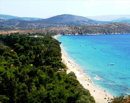 Οικόπεδο 25.000 τ.μ. για πώληση