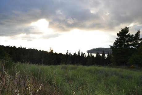 Land plot 5.600sqm for sale-Kassandra » Elani