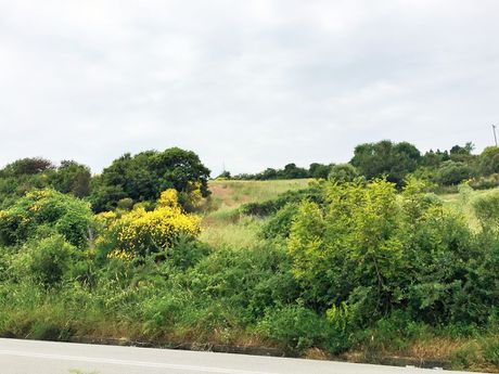 Land plot 12.250sqm for sale-Stagiron - Akanthou » Limani