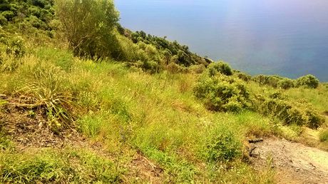 Land plot 17.720sqm for sale-Stagiron - Akanthou » Amoliani