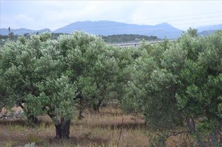 Οικόπεδο 4.070 τ.μ. για πώληση
