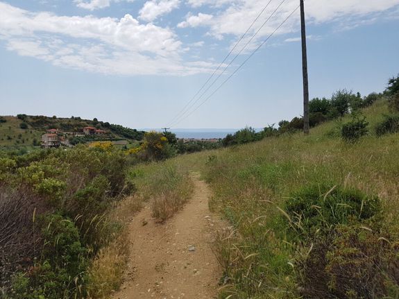 Οικόπεδο 4.396 τ.μ. για πώληση, Χαλκιδική, Σιθωνία