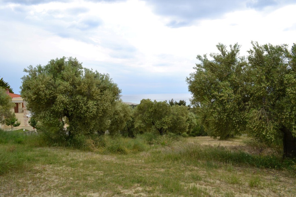 Οικόπεδο 6.012 τ.μ. προς πώληση, Ποσείδι