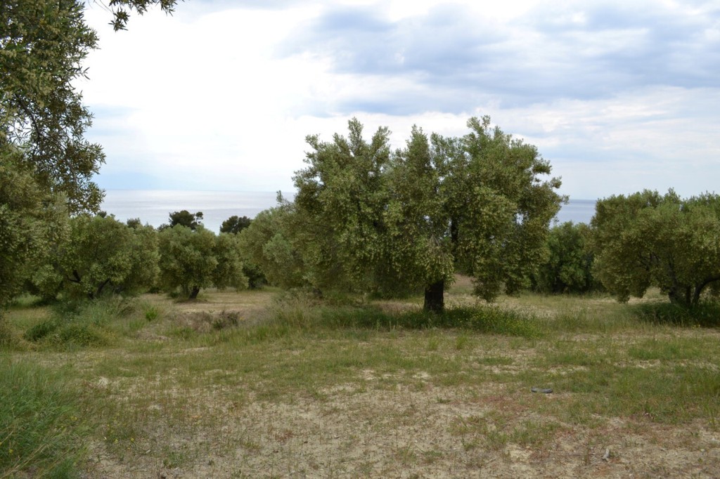 Οικόπεδο 6.012 τ.μ. προς πώληση, Ποσείδι