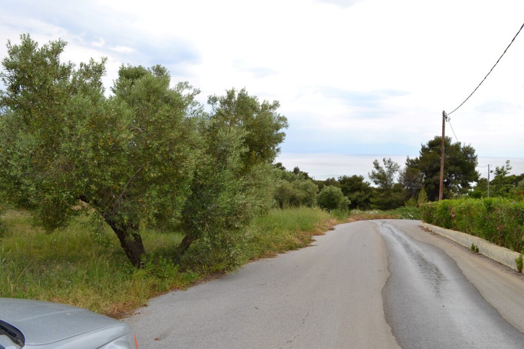Οικόπεδο 6.012 τ.μ. προς πώληση, Ποσείδι