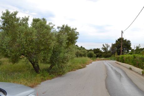 Land plot 6.012sqm for sale-Kassandra » Poseidi