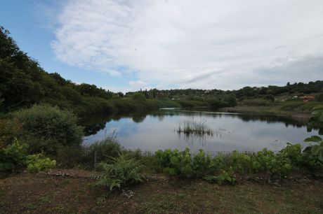 Land plot 12.000sqm for sale-Corfu » Pareli