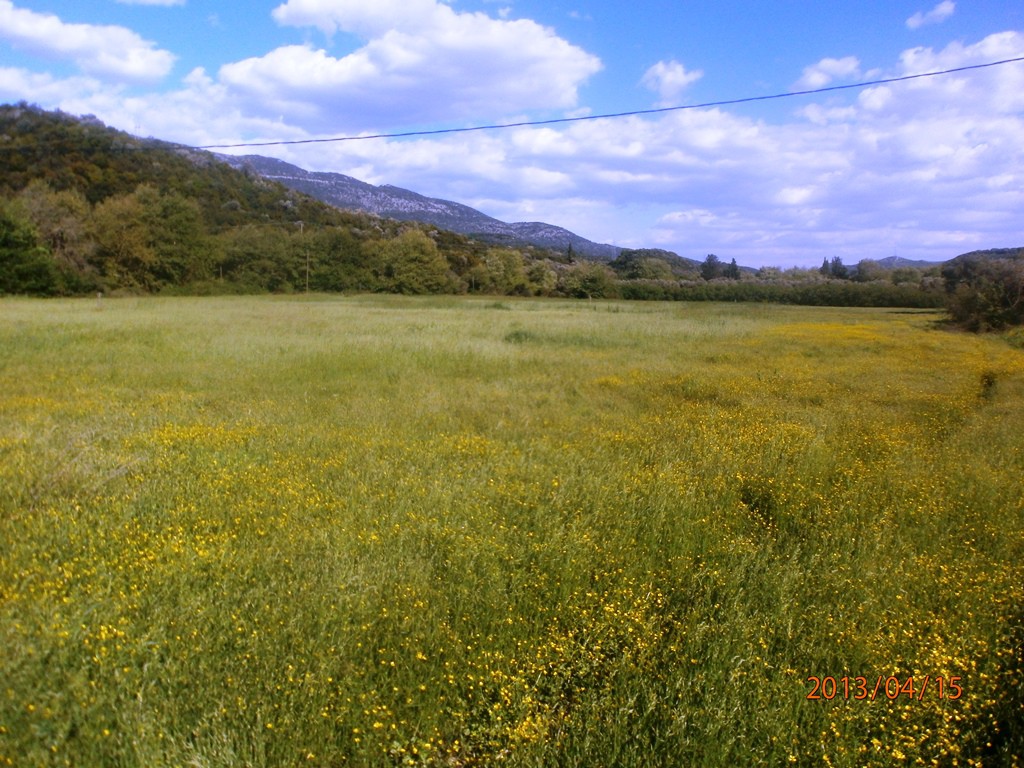 Οικόπεδο 23.000 τ.μ. προς πώληση, Αργυρότοπος
