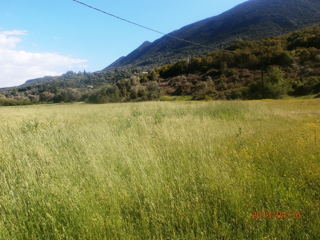 Οικόπεδο 23.000 τ.μ. προς πώληση, Αργυρότοπος