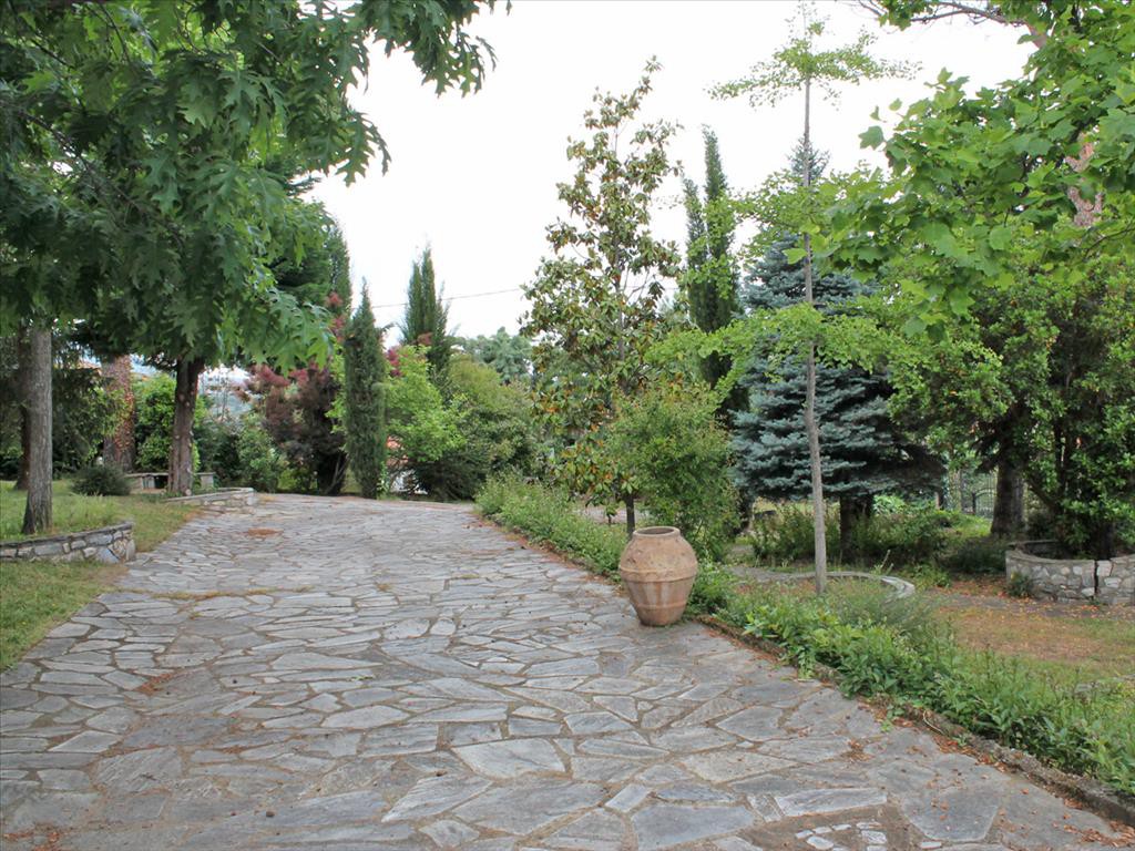 Μονοκατοικία 160 τ.μ. προς πώληση, Σκοτίνα Βεργίνας