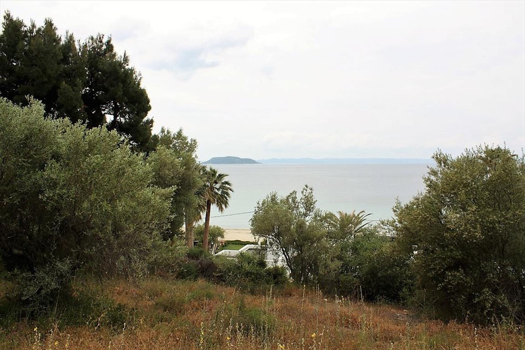 Οικόπεδο 6.000 τ.μ. προς πώληση, Τριπόταμος Σιθωνίας