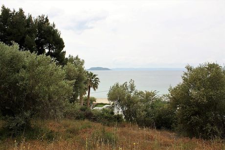 Land plot 6.000sqm for sale-Sithonia » Tripotamos