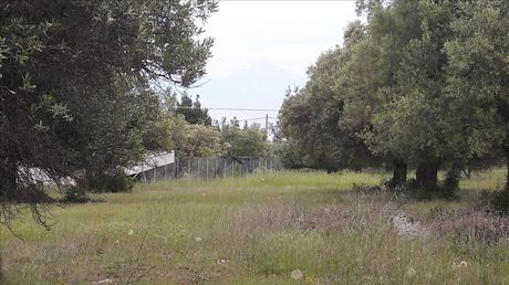 Land plot 4.002sqm for sale-Sithonia » Agios Nikolaos