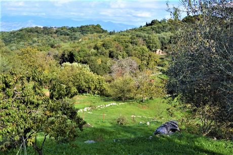 Οικόπεδο 1.210 τ.μ. για πώληση