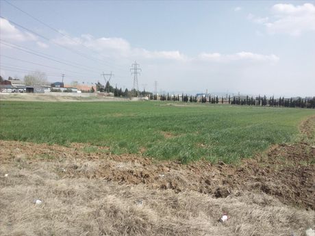 Land plot 15.000sqm for sale-Echedoros » Diavata