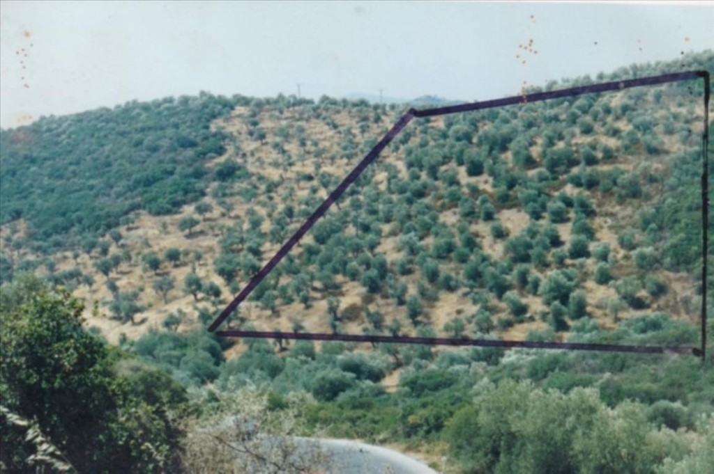 Οικόπεδο 19.160 τ.μ. προς πώληση, Πυργαδίκια