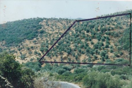 Land plot 19.160sqm for sale-Panagia » Pirgadikia