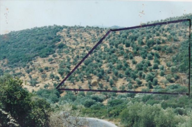 Οικόπεδο 19.160 τ.μ. για πώληση, Χαλκιδική, Παναγιά