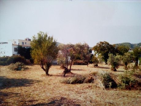 Land plot 3.500sqm for sale-Skopelos » Main Town - Chora